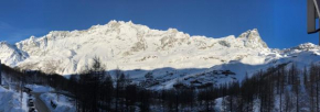 La Coquille de Neige - Nuova gestione Breuil-Cervinia